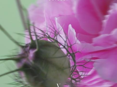 Parallel Voices történelmet ír a This Never Happened kiadón