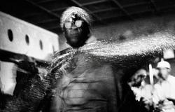 Ricardo Villalobos Sun Ra örökségét értelmezi újra egy különleges válogatáslemezen