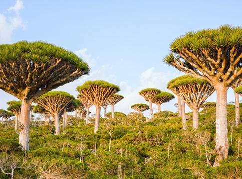 Földi tájak, mintha egy másik bolygóról érkeztek volna