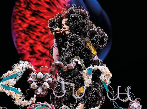 Björk a barátja, Magga Stína szabadon bocsátásáért emelt szót