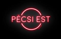 Rendőrségi razzia a Pécsi Estben: mindent átvizsgáltak, jogsértést nem találtak