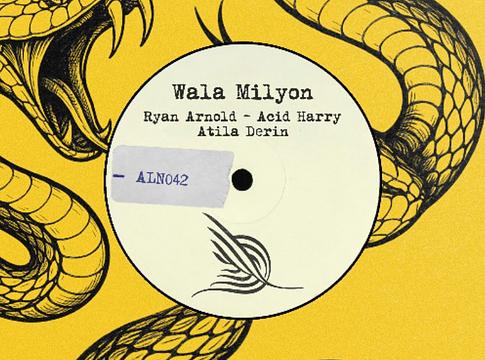 Alleanza: Ryan Arnold, Acid Harry és Atila Derin közös trekkje, a Wala Milyon