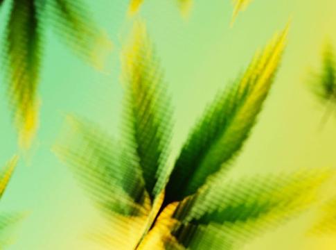 Egységes mérce jöhet a kannabiszhasználat mérésére