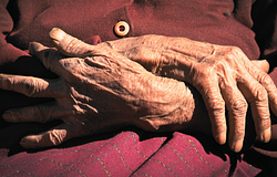 Nem az öregedés öl meg, hanem a szervek felmondása