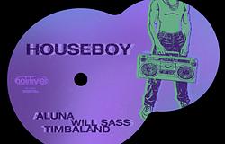 Will Sass, Aluna és Timbaland közös dala új színt hoz a house-ba