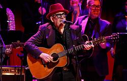Elvis Costello az Oliver’s Army N-szaváról: „Aki szerint ez woke, az mehet a francba”