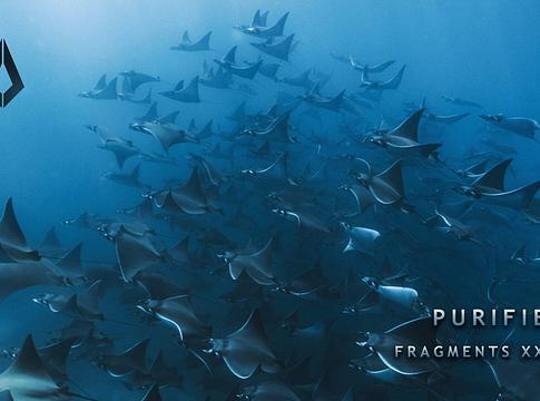 Purified Records bemutatja: Fragments XXXI