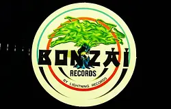 35 éves lesz a Bonzai Records – limitált vinylsorozattal ünnepel a trance-kiadó