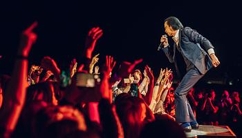 Nick Cave és Carly Paradis: egy váratlan találkozás története