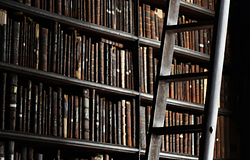 Jognyomás alatt az Anna’s Archive: elveszett a .org domén