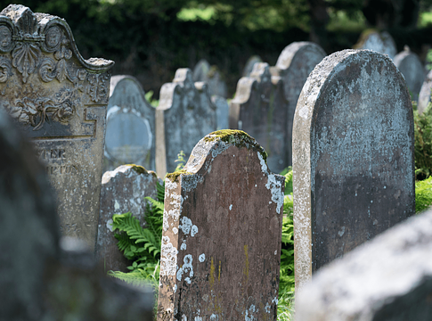 Egy mohapamacstól dőlt össze a chicagói sírrabló hálózat ügye