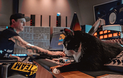 deadmau5 mentette meg a csődközeli állatmenhelyet Kanadában