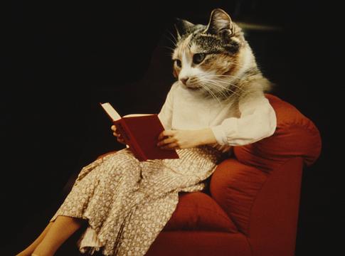 Négy könyv, amely segít kedvesebbnek lenni önmagaddal