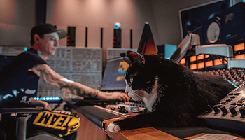 deadmau5 mentette meg a csődközeli állatmenhelyet Kanadában