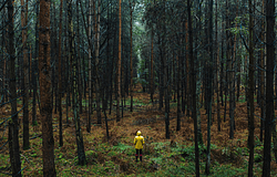 Magány ellen: egyedül a vízpartra – kutatás cáfolja a közhelyet