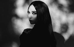 BrIt konzervatív polItikus kItiltaná DJ HaRAmot az Egyesült Királyságból ausztráliai beszéde után