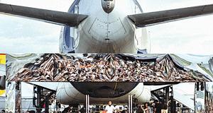 Cercle Fesztivál 2026: elektronikus zene az űrkutatás jegyében