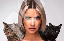 LOVRA az állatvédelem mellé áll: örökbefogadásra buzdít a PETA kampányában