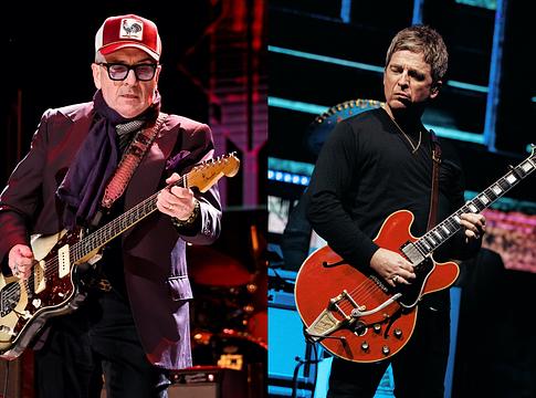 Elvis Costello: az Oasis „nem nekem szól”, „a The La's leegyszerűsítése”