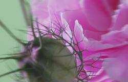 Parallel Voices történelmet ír a This Never Happened kiadón