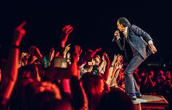 Nick Cave és Carly Paradis: egy váratlan találkozás története