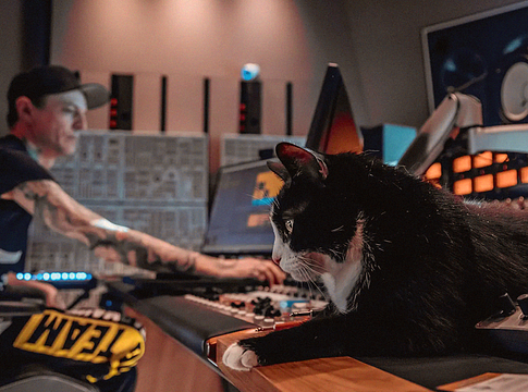 deadmau5 mentette meg a csődközeli állatmenhelyet Kanadában