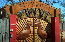 A 74 éves „Silver” lett Berlin új rave-ikonja