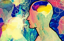 Nem csak öt érzékünk van – az emberi érzékelés jóval összetettebb