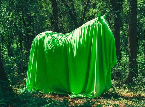 Kilencedik alkalommal érkezik a Dias de Campo fesztivál Montanejosba