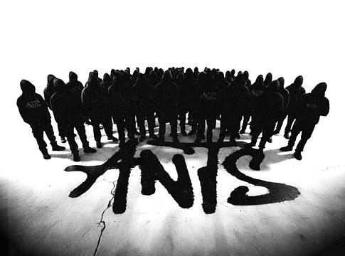 Öt héten át nappal és éjjel: visszatér az ANTS Ibizára 2026-ban