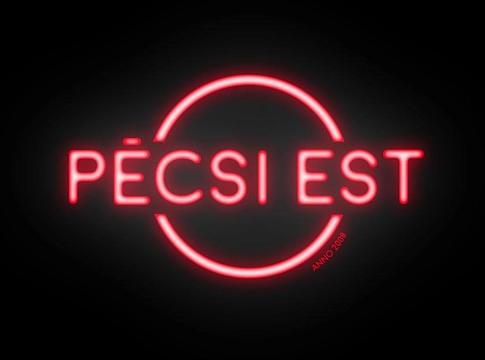 Rendőrségi razzia a Pécsi Estben: mindent átvizsgáltak, jogsértést nem találtak