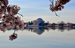 Washington D.C. 9,9 millió dollár visszafizetésére kötelezte a Live Nation/Ticketmastert a félrevezető díjak miatt