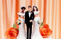 Gen Z véletlenül „tolyamorous” – és utálják is