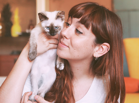 A macskák titkos nyelve: a lassú pislogás ereje