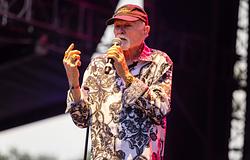 A The Beach Boys őszre halasztotta nyári koncertjeit