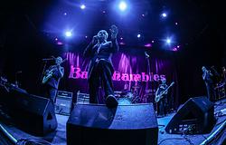 A Babyshambles koncertlemezzel örökíti meg visszatérését