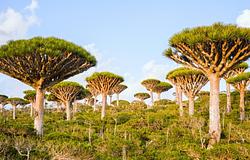 Földi tájak, mintha egy másik bolygóról érkeztek volna