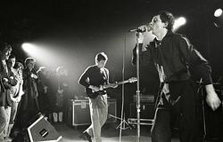 Politikai vihar egy Joy Division póló miatt – az ausztrál miniszterelnök a támadások kereszttüzében