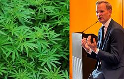 Németországban marad a kannabisz legalizáció, de szigorúbb szabályozás jöhet
