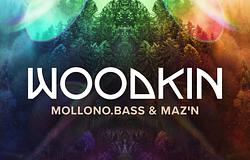 WOODKIN a 3000Gradnál: house-melegség, techno-dinamika, erős dalok