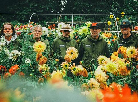 A Super Furry Animals 2026-ban visszatér a színpadra