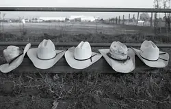 Szélvihar borította fel a Stagecoachet: tömeges evakuálás, lemondott fellépések