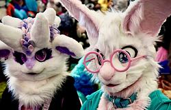 Amerikában ötpercenként? Nem: öt másodpercenként keresnek a furrykre