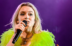 Zara Larsson az RCA Recordsnál folytatja pályafutását