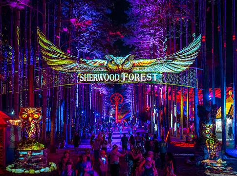 Folytatódik a nyomozás az Electric Forest fesztiválon talált újszülött ügyében