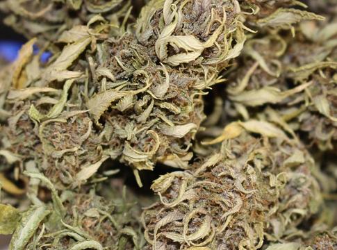 Kannabiszszag buktatta le a fiatal dílert Németországban