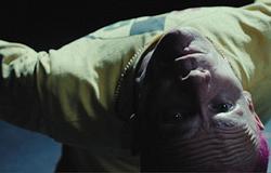 Flea új szólódala, az A Plea erőteljes kiáltvány a megosztottság korában