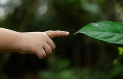 A természetes szelekció ma is formálja az embert – így látszik a DNS-ünkön