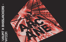 Marie Vaunt és Bassjackers közösen lépett be az Acid Nationbe