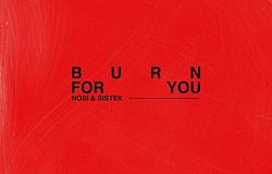 Nosi és Sistek közösen hozták a Burn For You-t a Tomorrowland Musicnál